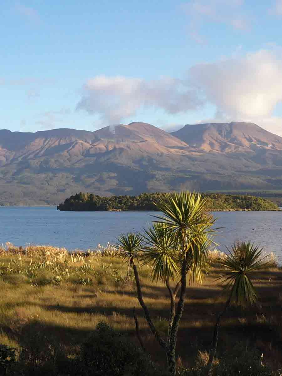 Mountain view New Zealand